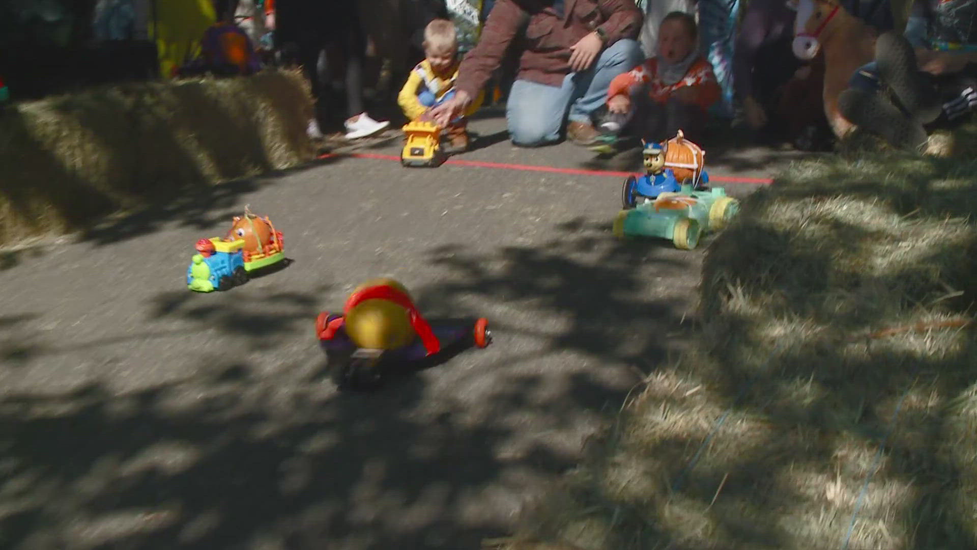 The Great Pumpkin Race took place on Saturday afternoon at Riverfront Square and crowds gathered to watch wheeled pumpkins race down a hill.