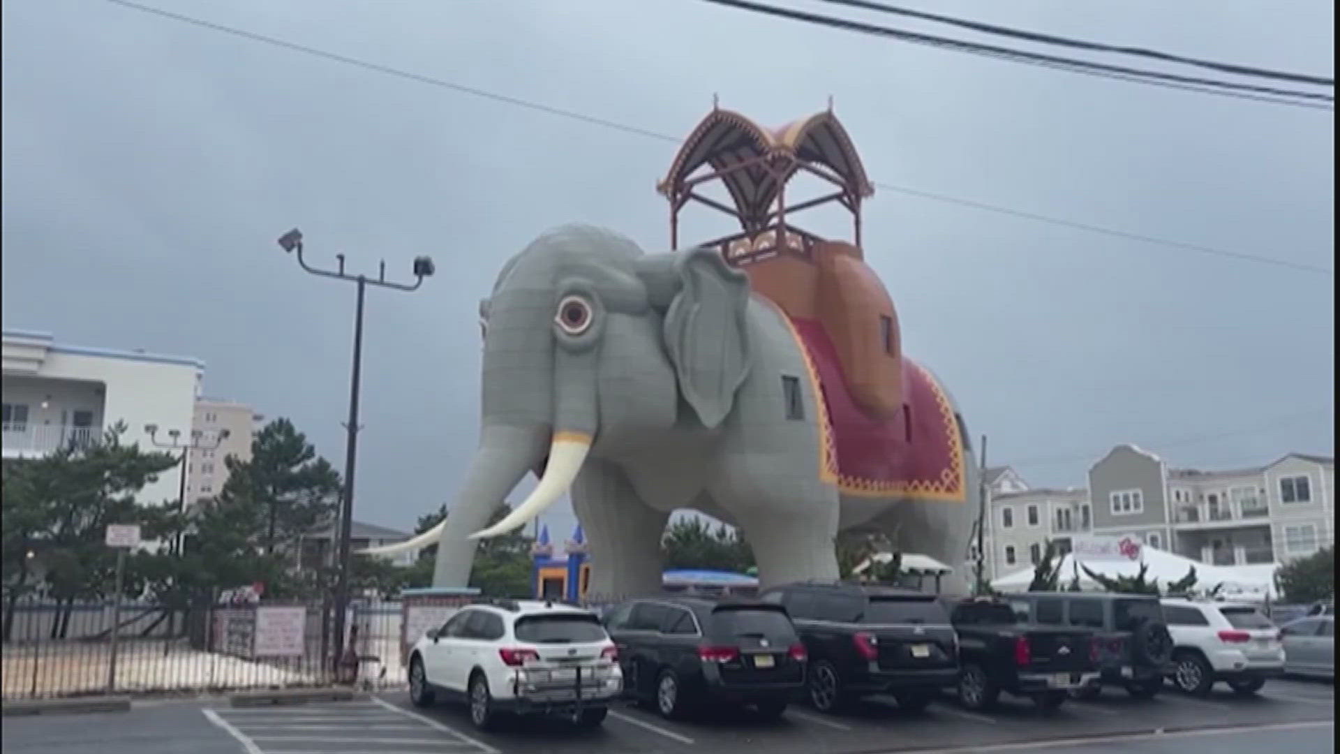 Lucy the Elephant is 144 years old.
