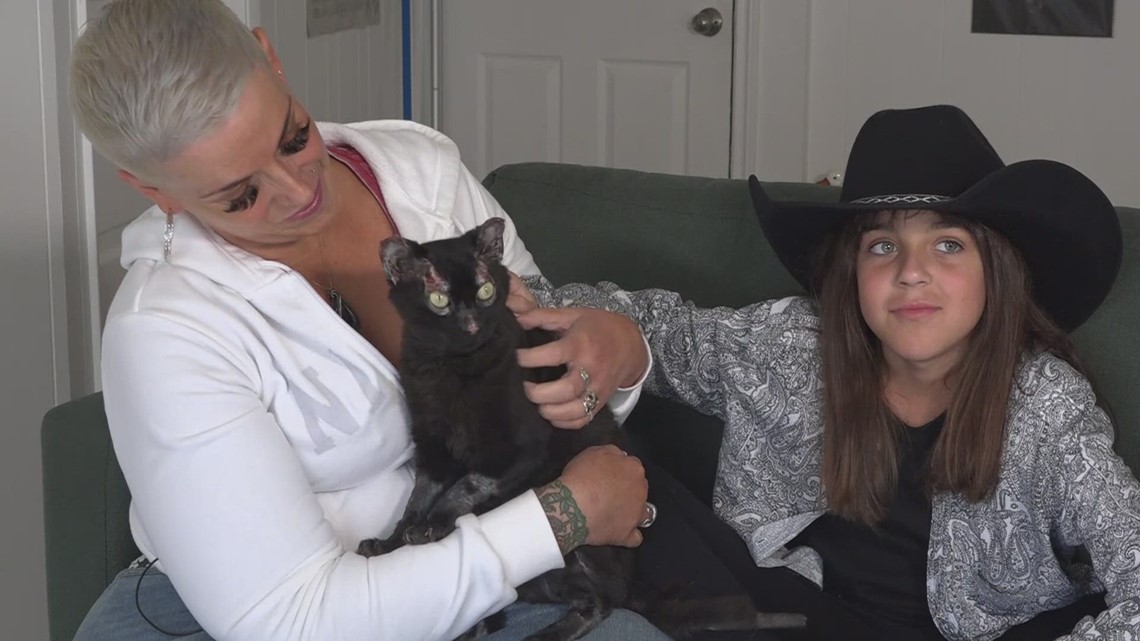 Pet cat severely burned in Gray Fire nearly ready to return home - Vimarsana News
