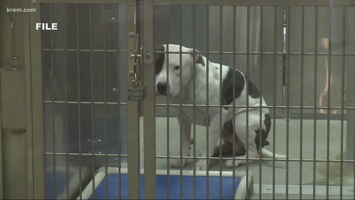 SCRAPS reopens after deadly strep zoo outbreak