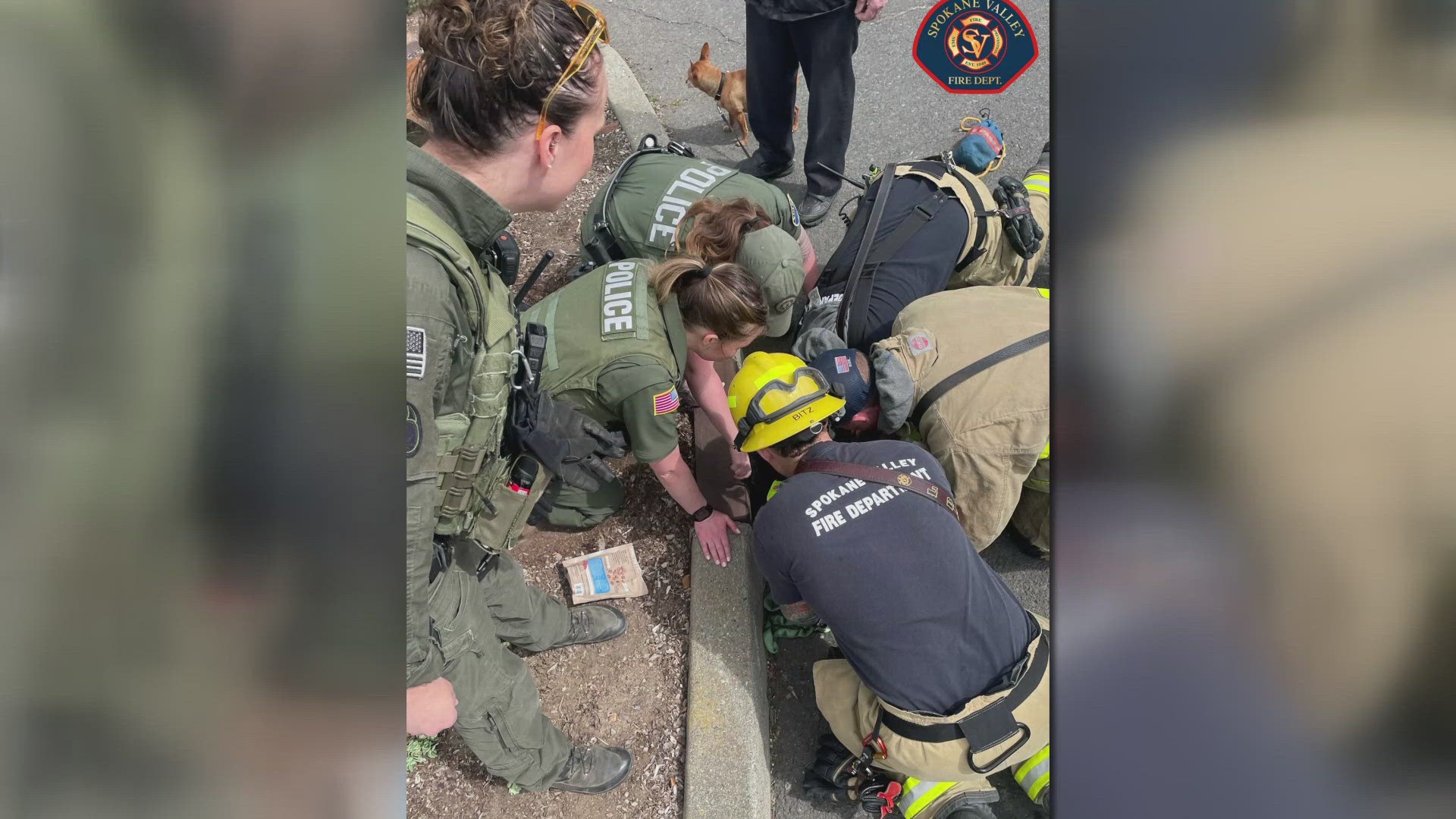 The dog was unharmed and is home safe after a group of of emergency crews stepped in to save the animal that fell into a storm drain.