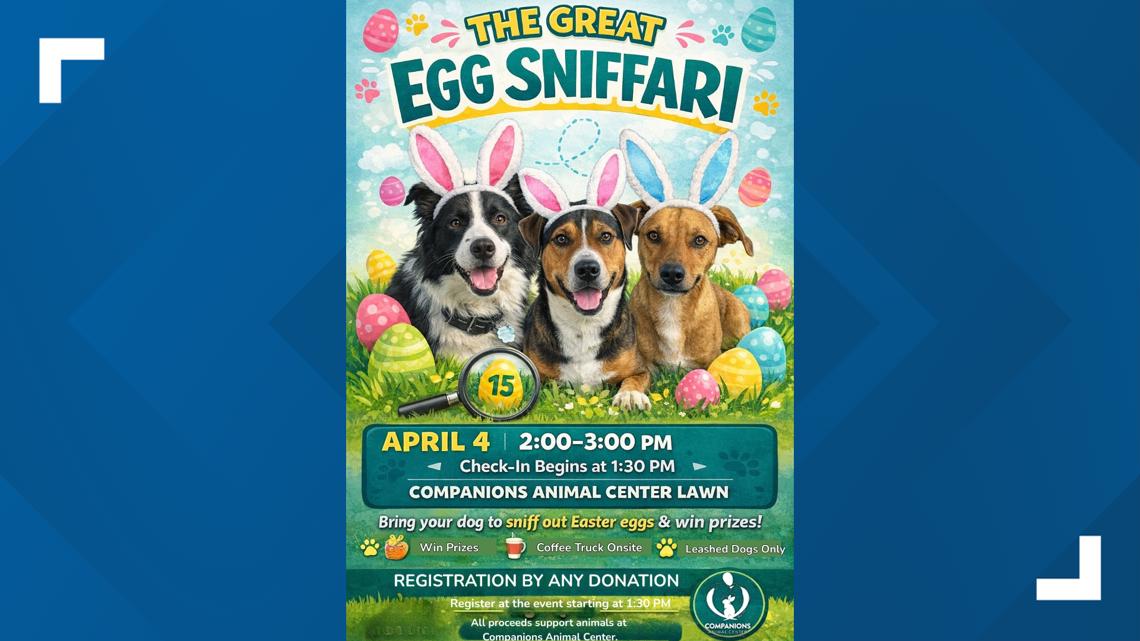 Companions Animal Center hosting Easter egg hunt for dogs