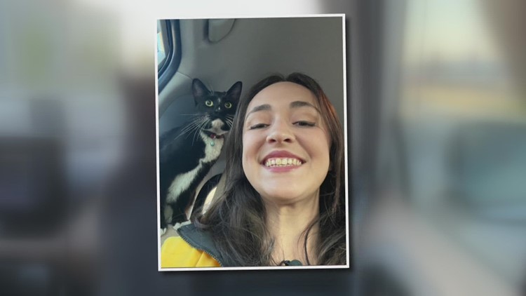 Cat missing for two weeks returns home