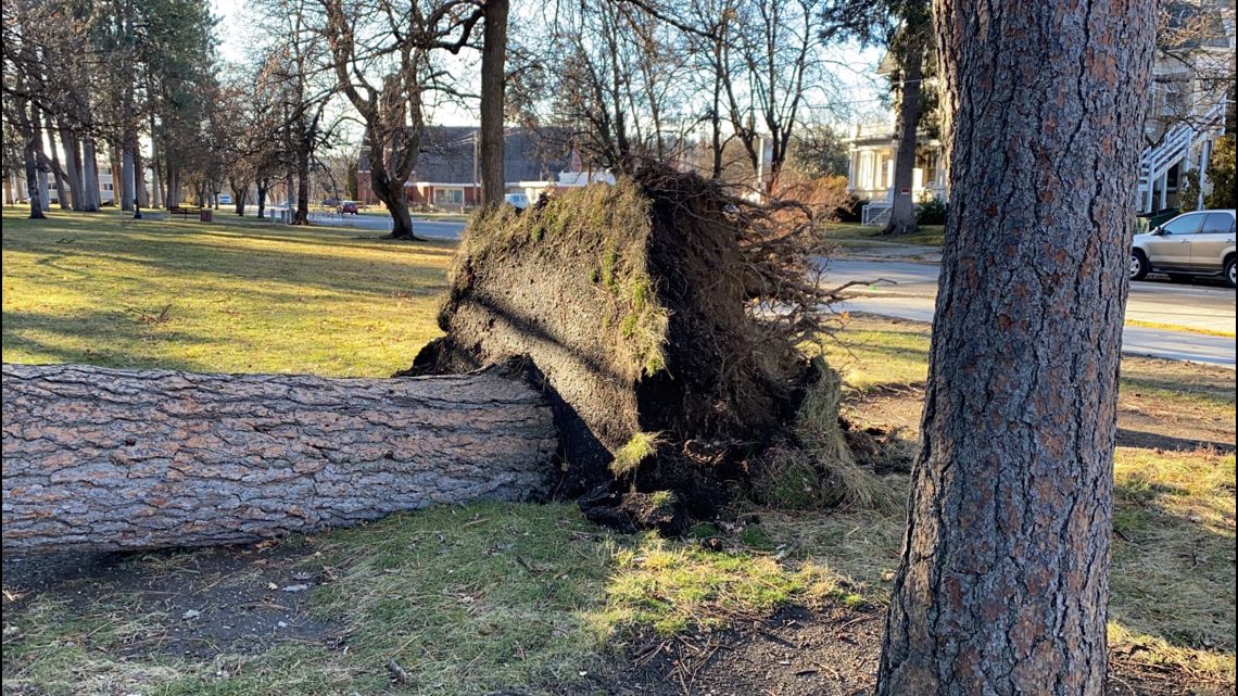 How 2021 windstorm in Spokane compares to historic 2015 storm