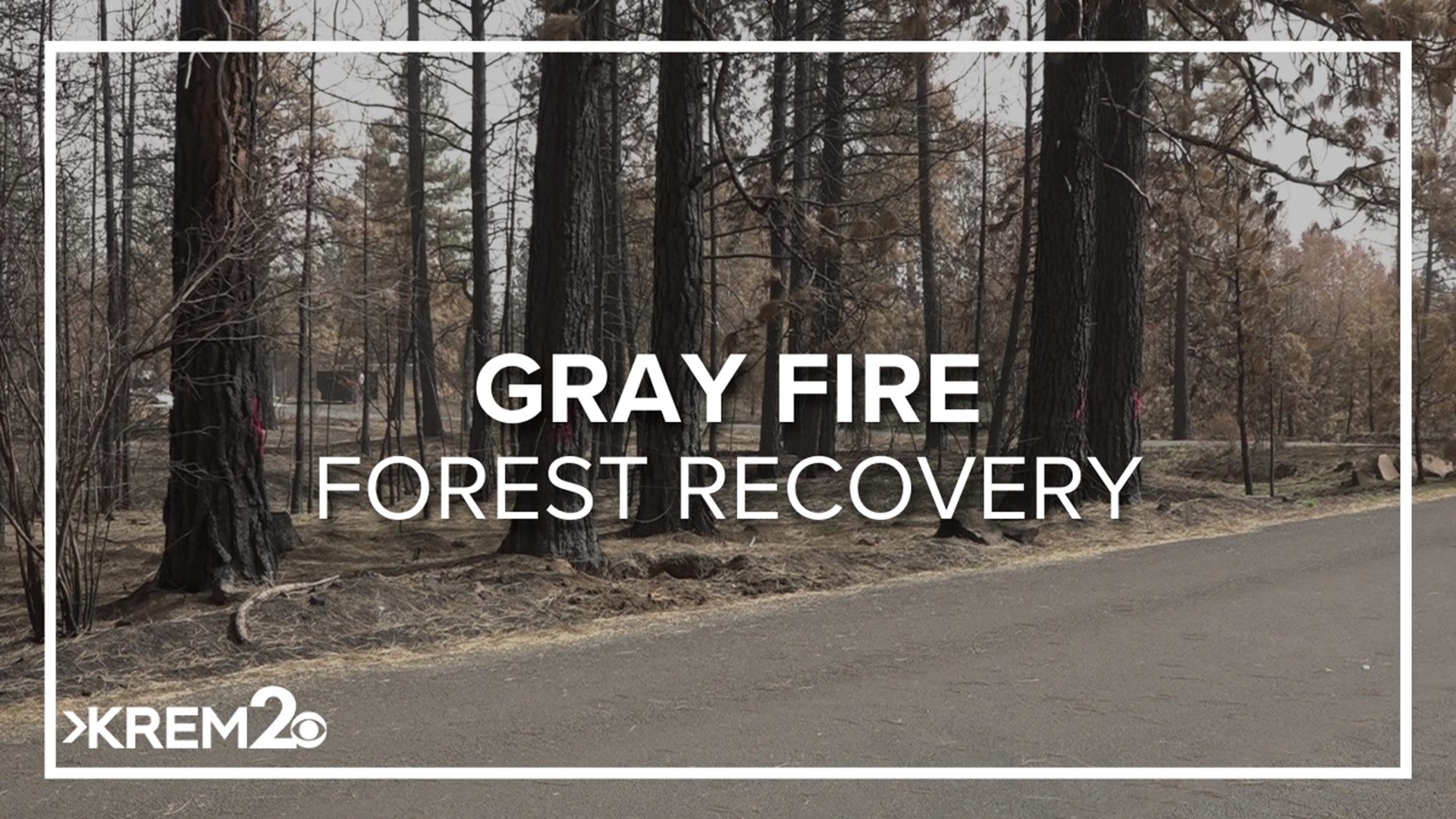 With more than 10,000 acres burned in and around Medical Lake, there's plenty of work to be done between rebuilding homes and preserving the forest.