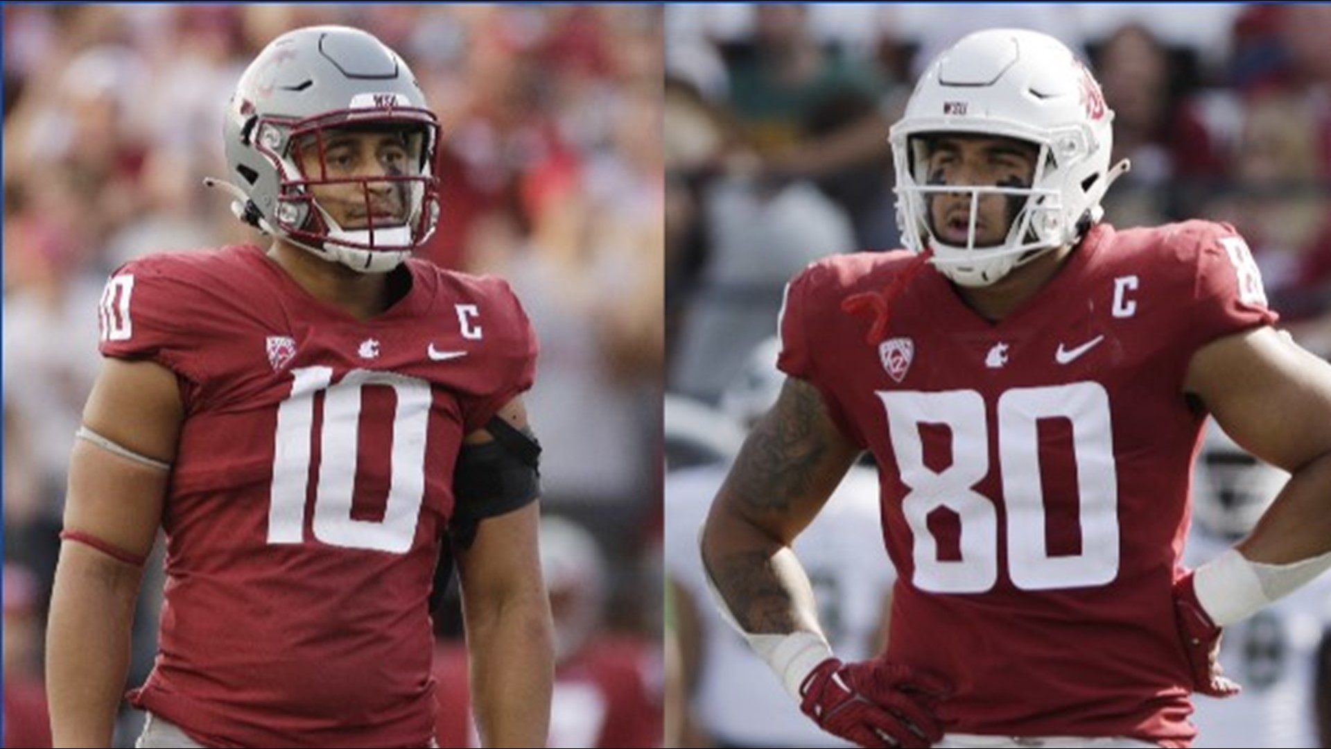 Cameron Ward leads WSU Cougars past Colorado State 50-24 - Seattle Sports