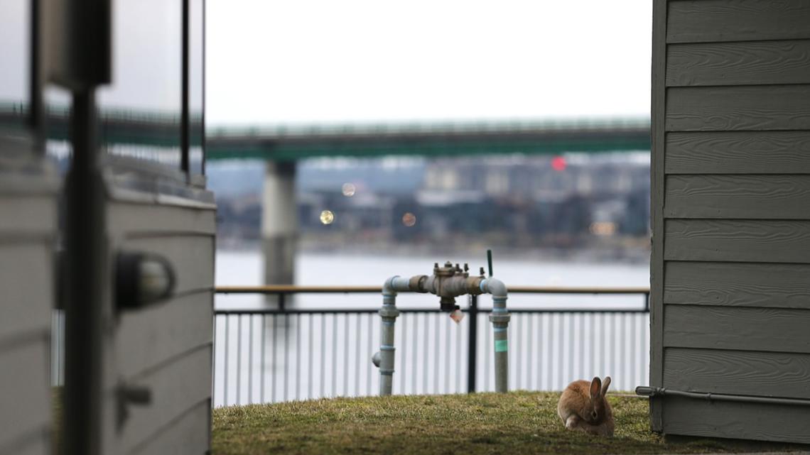 University of Idaho requests to buy Harbor Center property in Coeur d'Alene