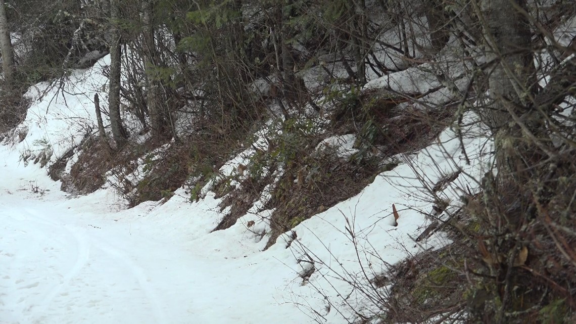 Shrinking snowpack is not exactly new for parts of the Northwest - Vimarsana News