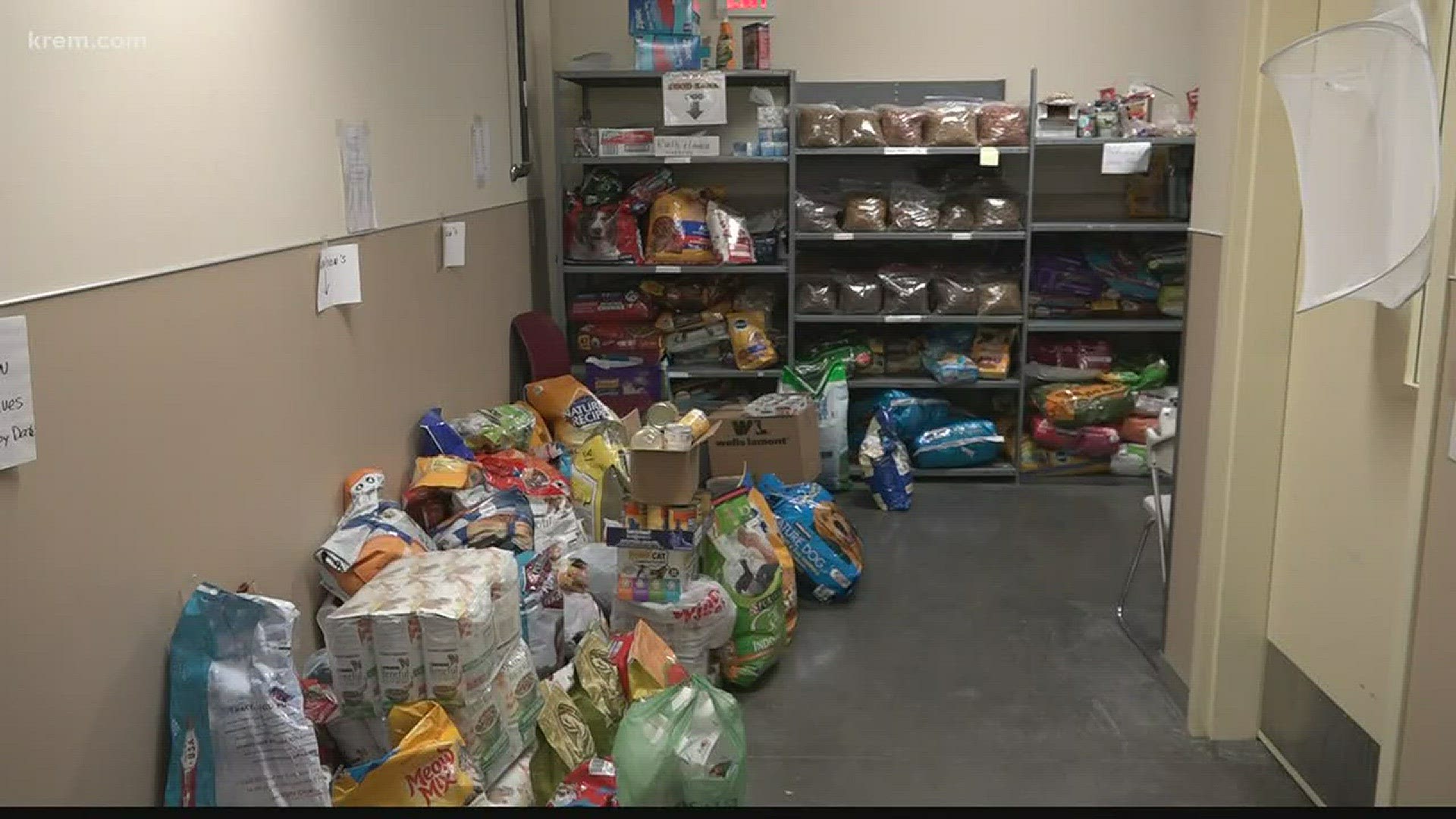 Does Ebt Cover Dog Food