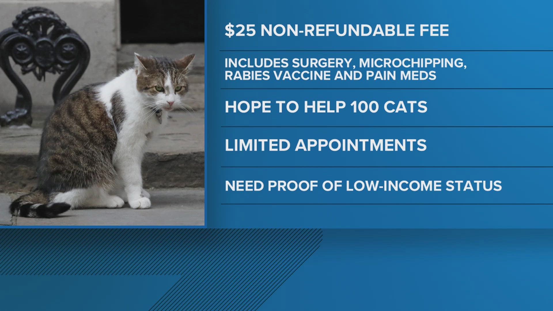 The Humane Society says a donation from an animal lover will allow the organization to offer discounted appointments for low-income community members. 