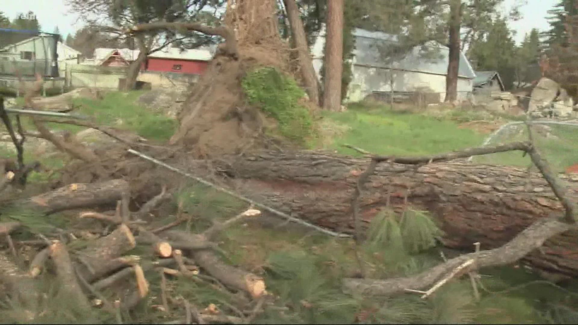 Downed power lines start brush fire during Monday's windstorm