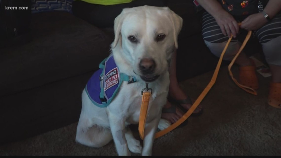 Diabetic Idaho woman raises money to get service dog