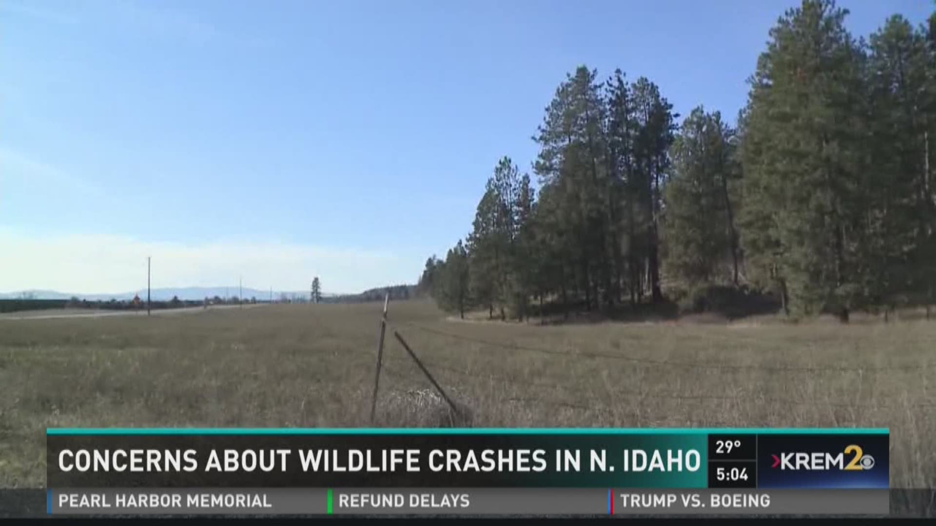 This next story comes from a concerned viewer who sent us an email about crashes involving wildlife on a North Idaho highway. He writes that he travels to work on Highway 53 near Rathdrum and the Idaho state line every day... and has seen an increasing pr