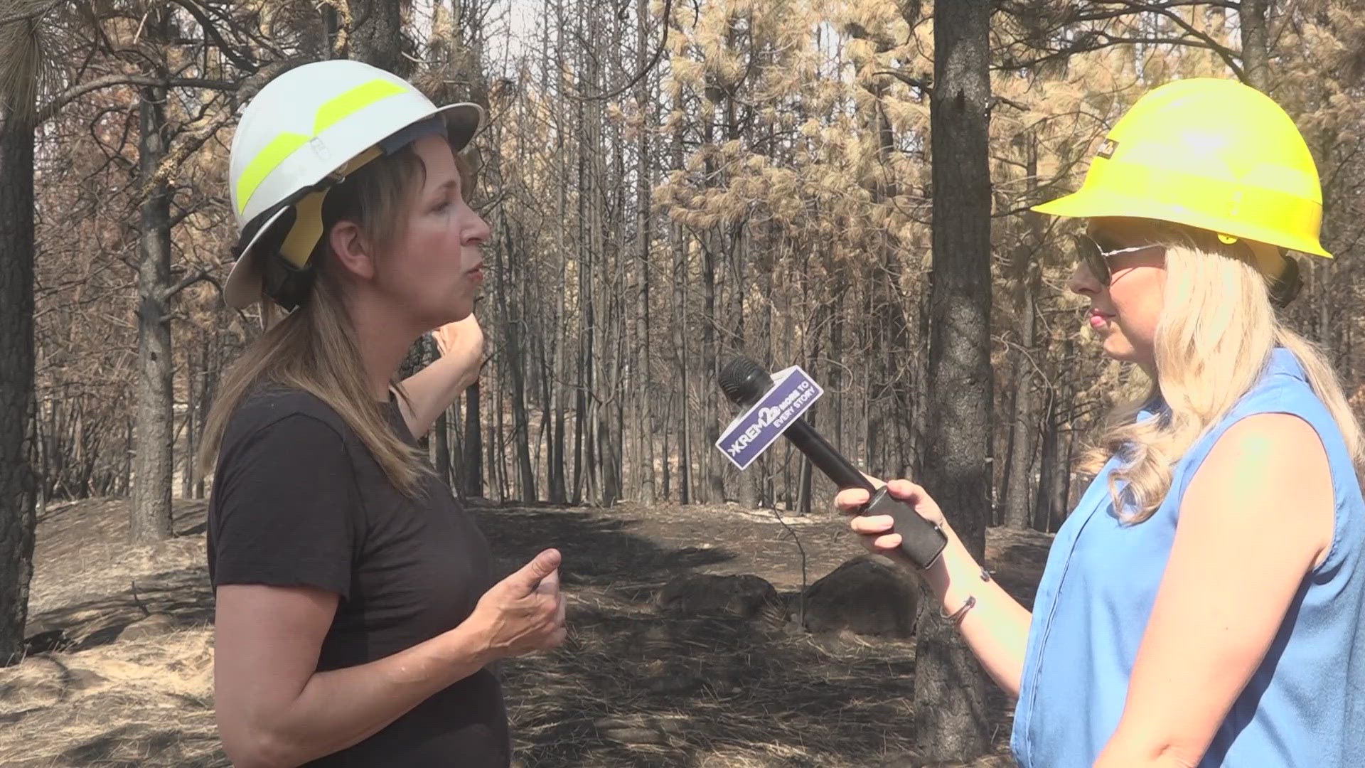 During her eight years, she developed a forest health plan, which has treated over 800,000 acres of federal, state, tribal and private land.