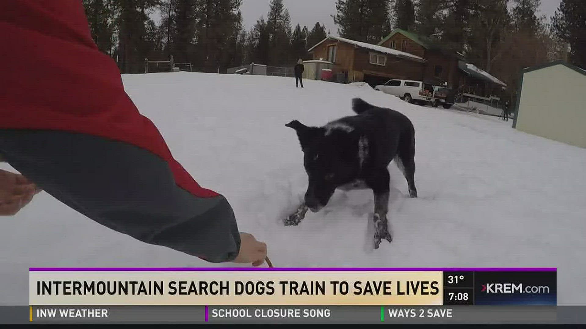 Intermountain search dogs train to save lives  (1-10-18)