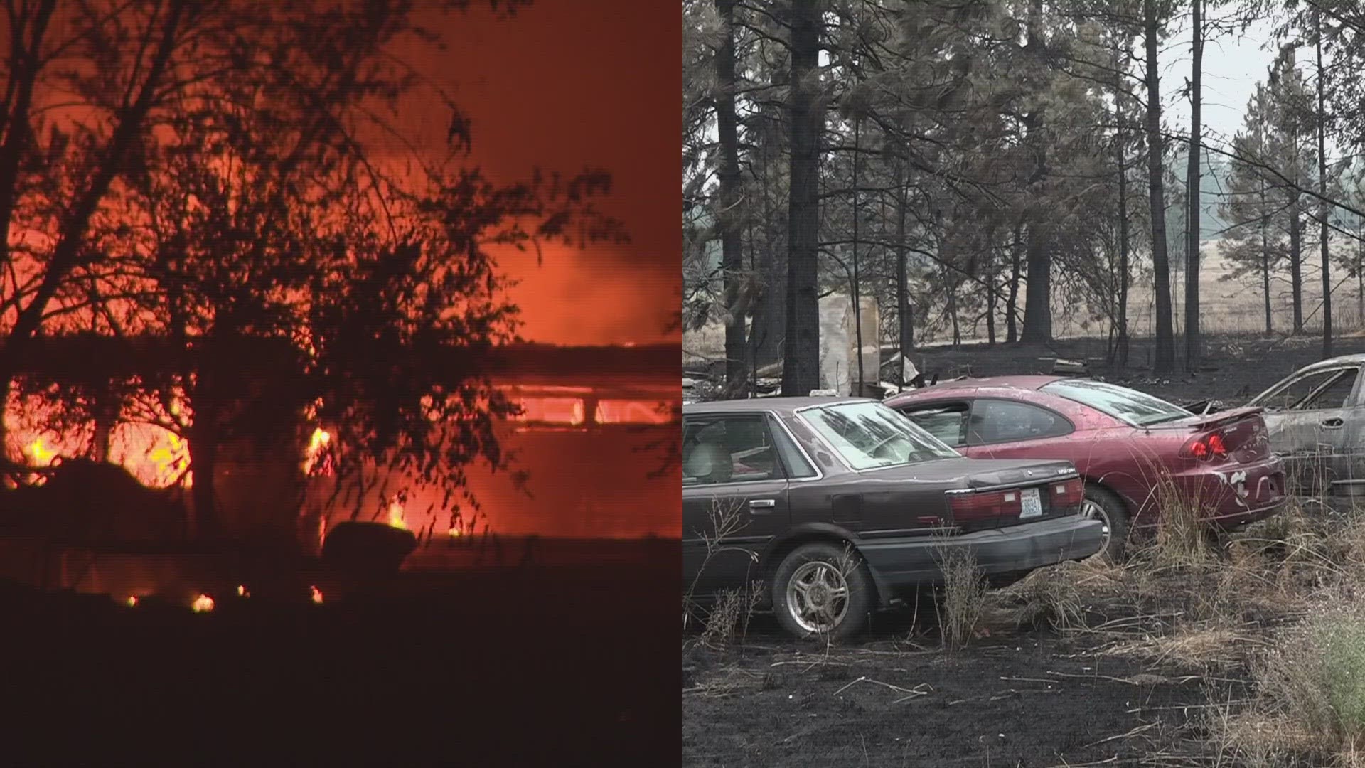 The "Restoring Hope" event aims to restore hope for those impacted by the Gray Fire and will include silent and live auctions, food trucks, merchandise and more.
