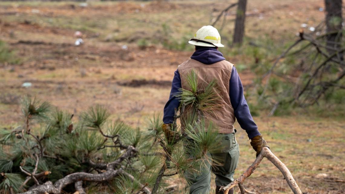 DNR partners with Colville Tribes to reduce wildfire fuels in Nespelem