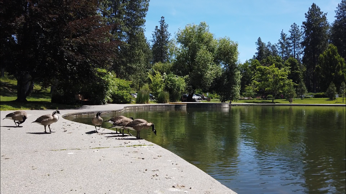 Mirror Pond reopens at Manito Park after renovations