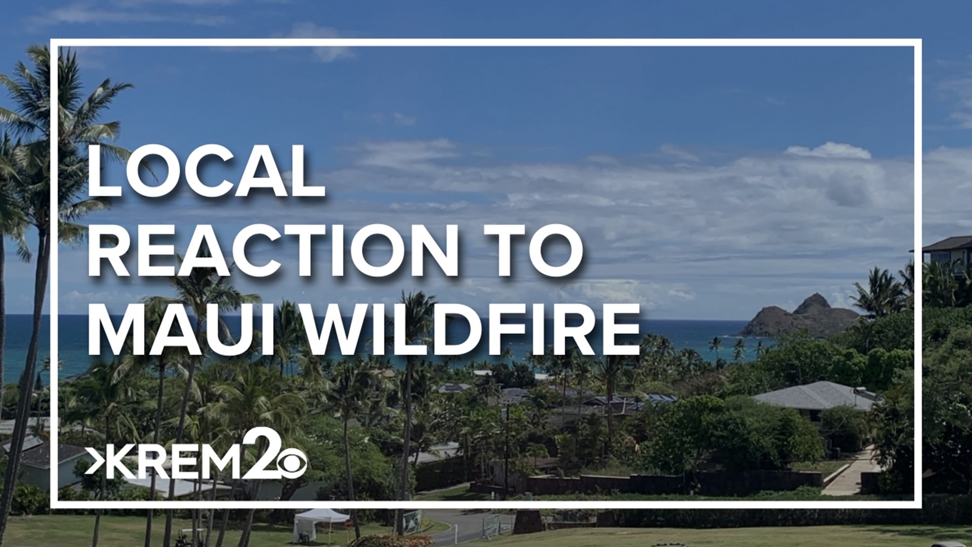 Local restaurants react to Maui devastation. Hang 10 Hawaiian BBQ shared they travel back to the state a few times a year to see family.