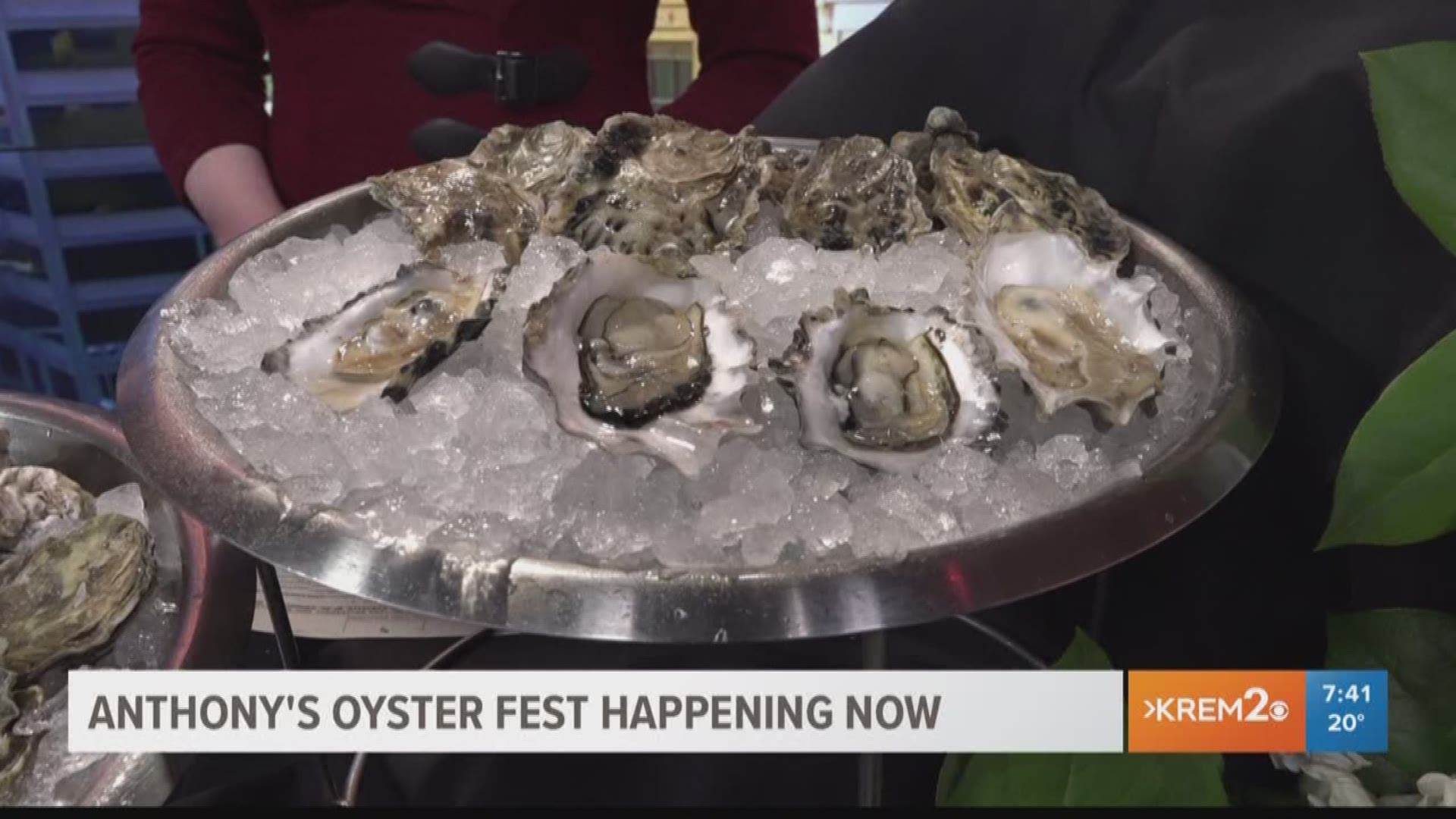 Bottoms up! Anthony's annual oyster fest is happening now.