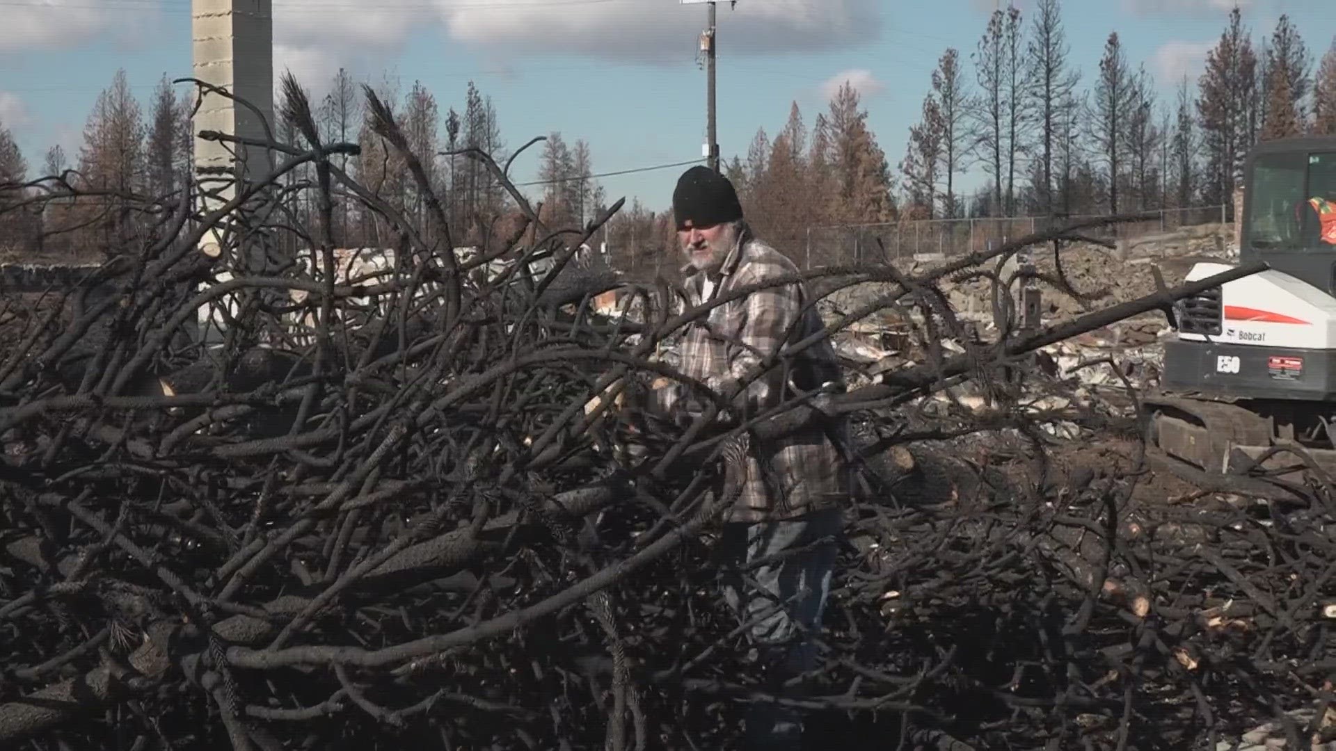 Volunteers are working to clear out trees in the area, before the weather gets too cold.