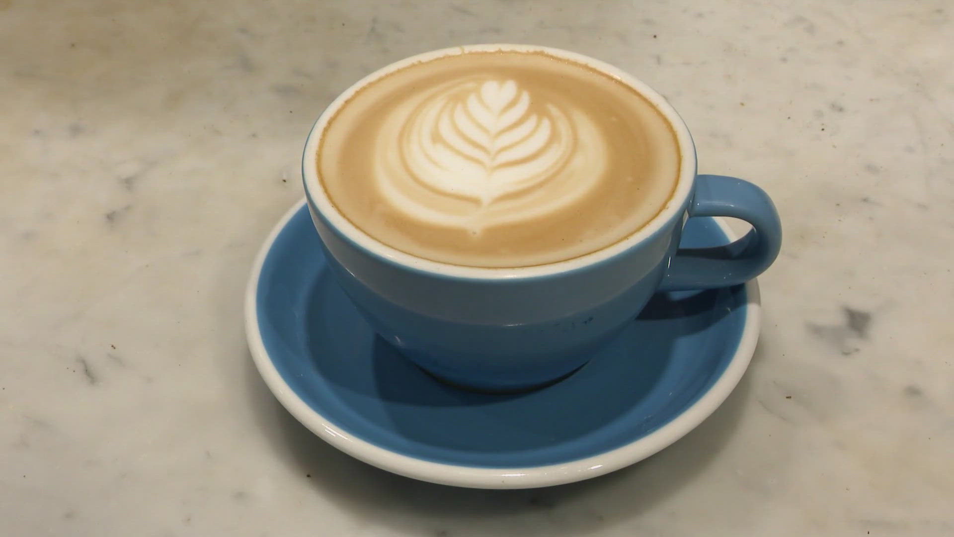 Seattle company makes "beanless coffee"