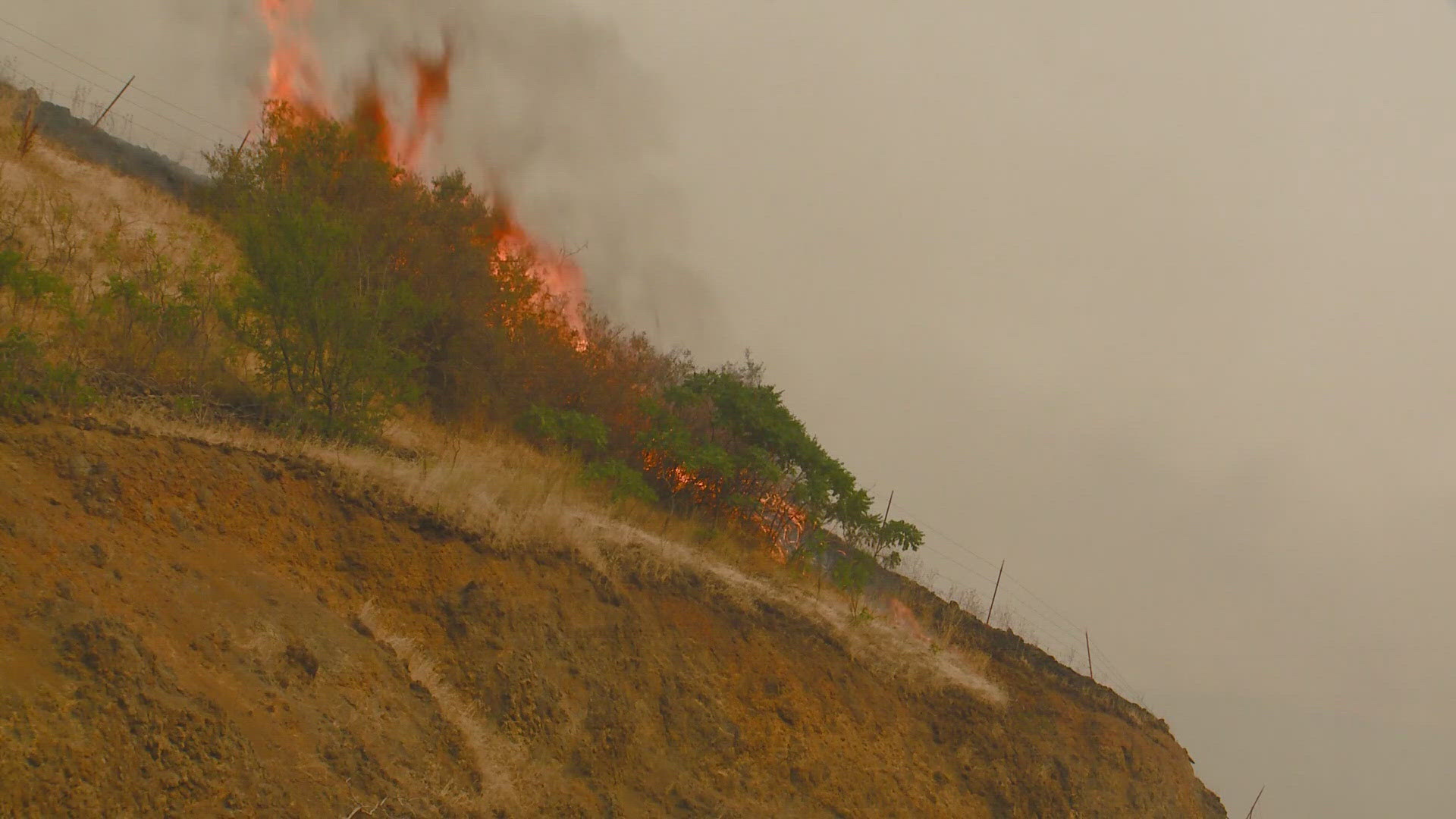 Around 300 people have been evacuated due to the Gwen Fire near Juliaetta, Idaho.