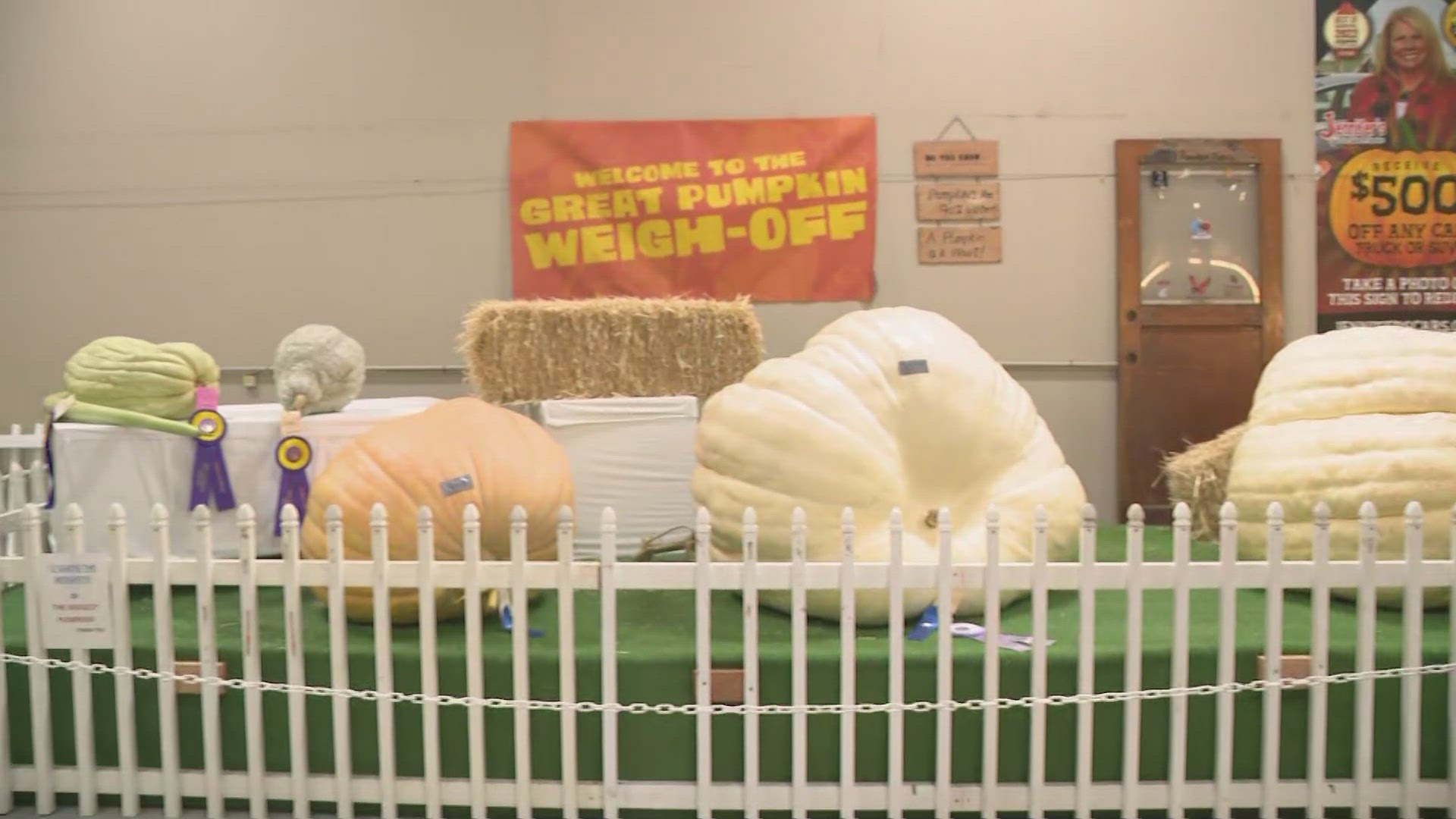 Fair-goers can try their hand at guessing the weight of giant pumpkins at the fair this year.