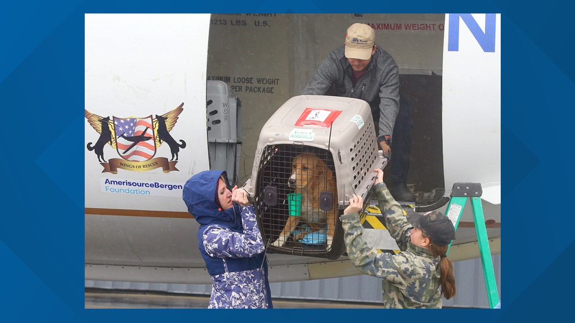 Wings of Rescue makes stop in Coeur d'Alene - Vimarsana News