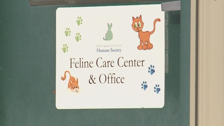 Whitman County Humane Society announces staff resignations
