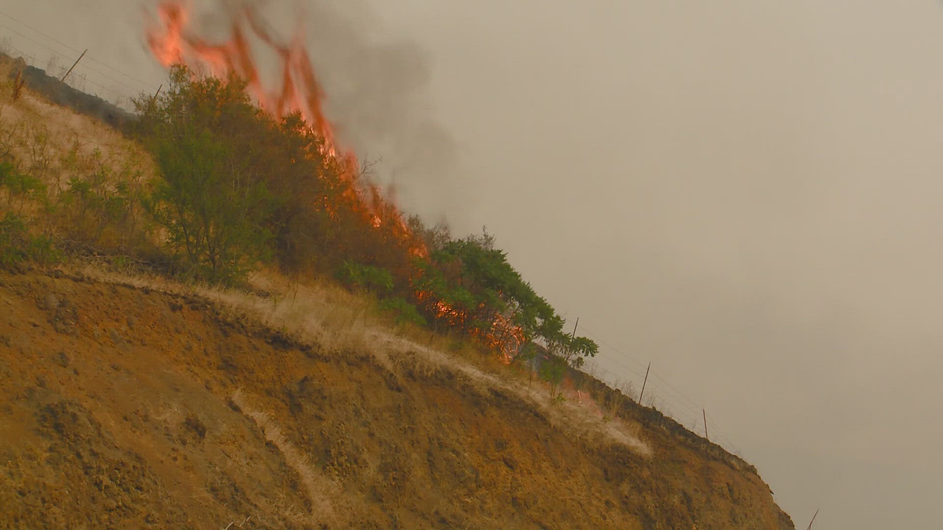 At least 143 buildings were destroyed in the Gwen Fire.