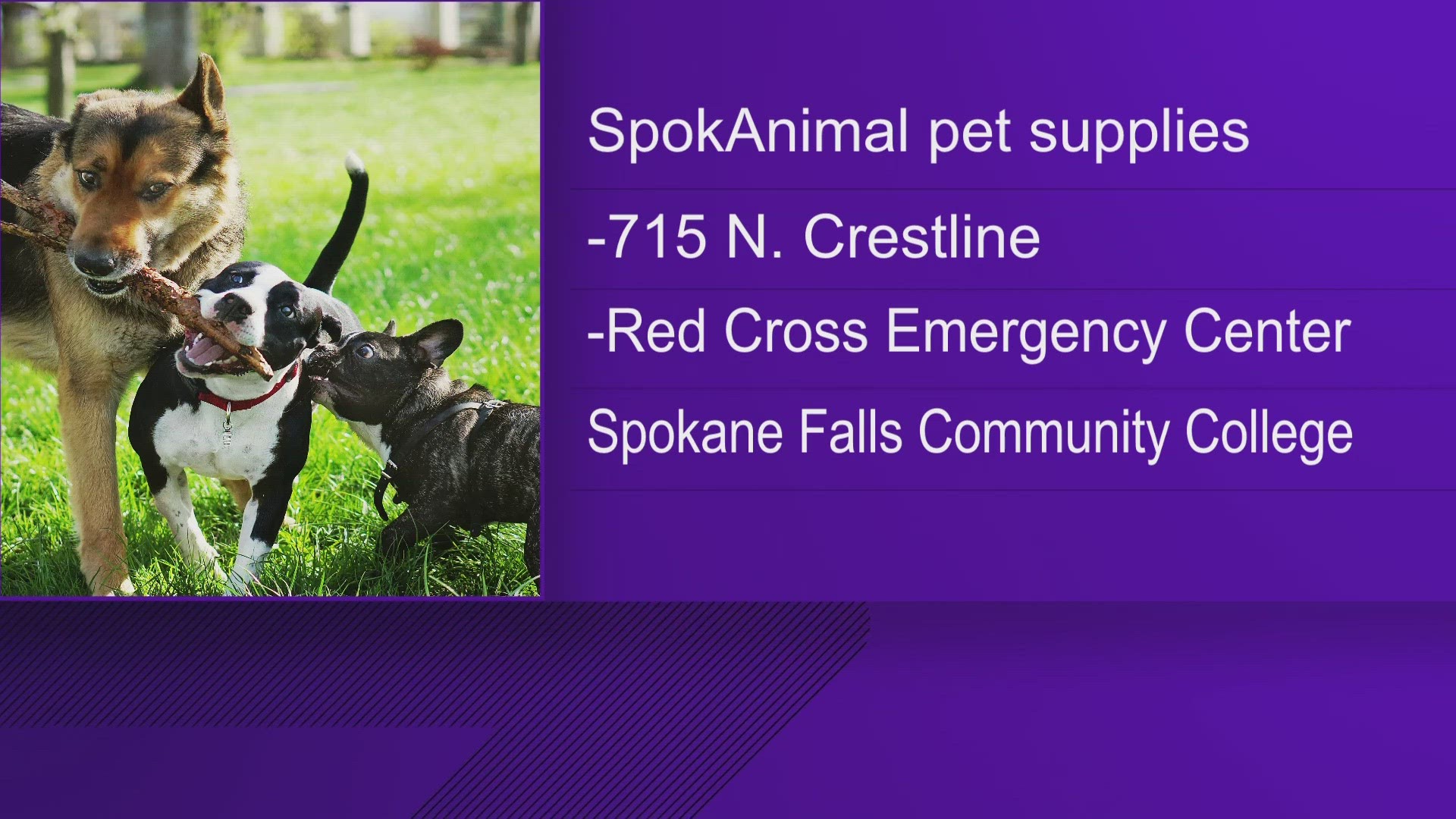 Starting Tuesday, any pet owner impacted by the Gray Fire or Oregon Road Fire can come to the SpokAnimal Resource Center and pick up supplies.