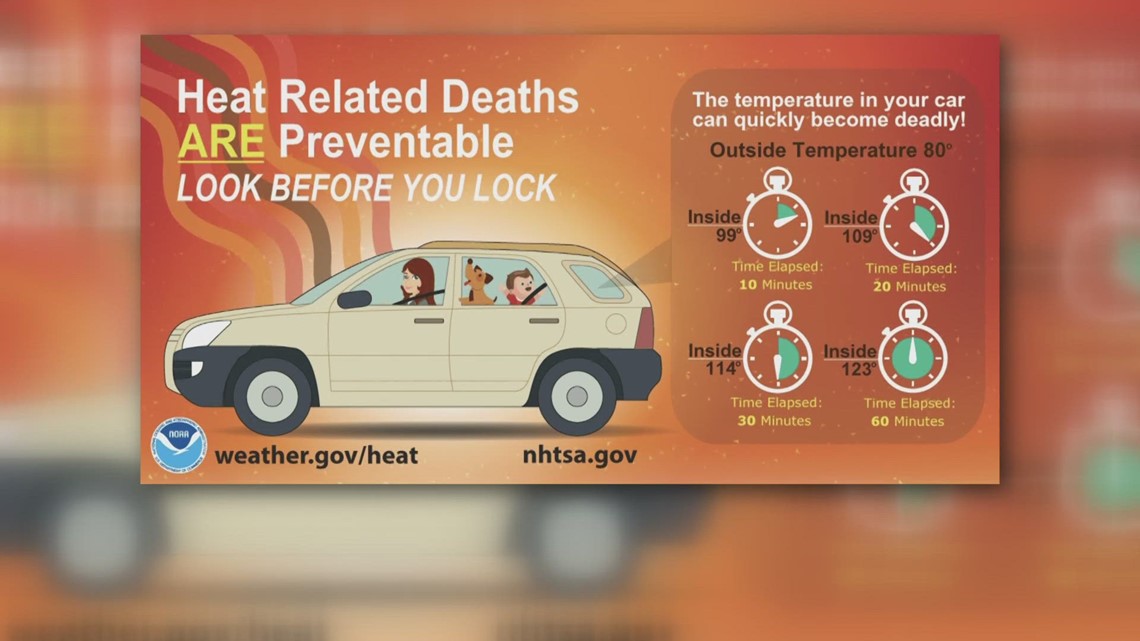 What should I do if I find a child or dog locked in a hot car? | krem.com