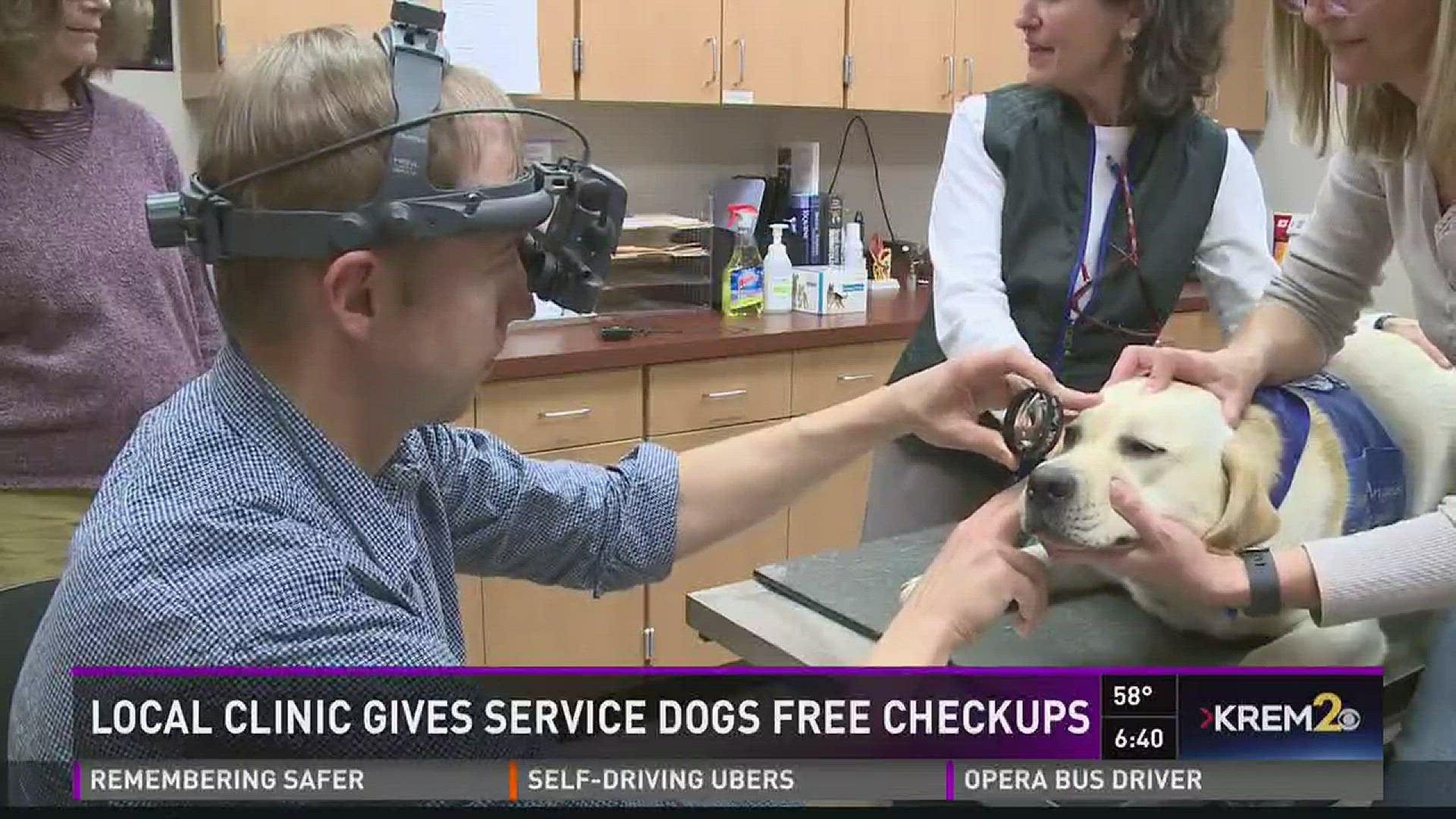Spokane clinic gives free eye exams to service dogs