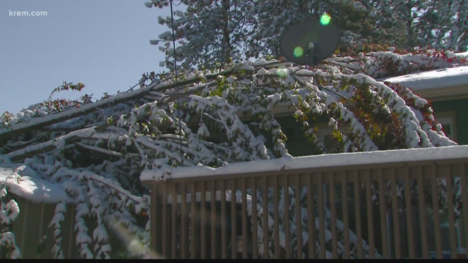 A tree narrowly missed one family's home where their two-week-old son was sleeping. Another South Hill family is riding out the storm without electricity.