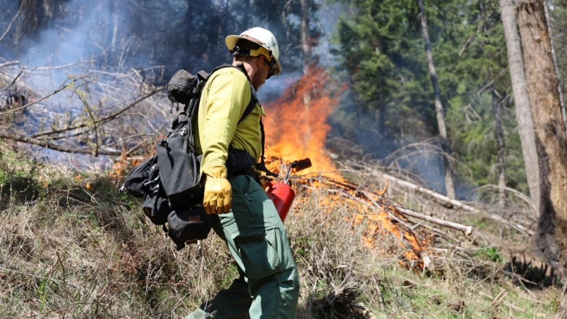 Idaho Panhandle forests set to start prescribed burns to manage vegetation