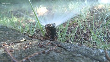 Spokane City Council member pushes alternative to proposed water conservation ordinance