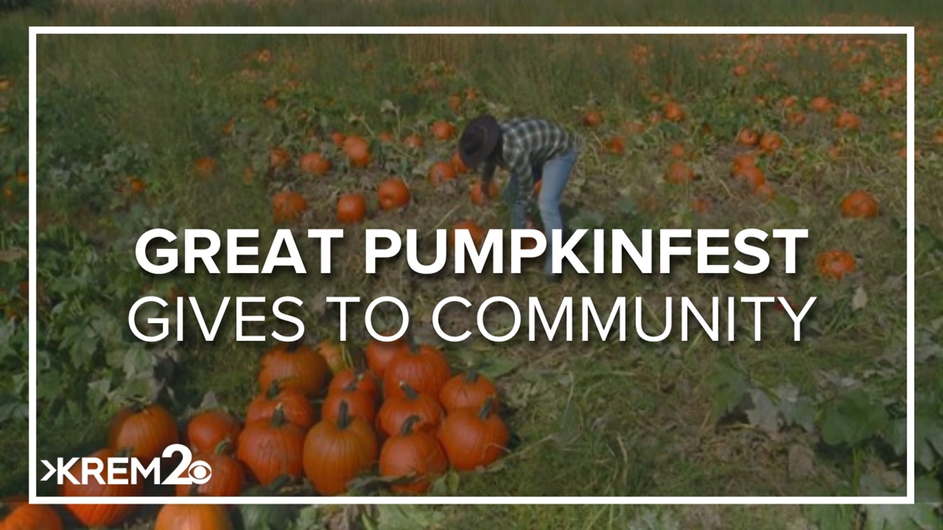 Every year, Joshua Lorea and his family load up around 10,000 pumpkins in Moses Lake so they can make the trip to Spokane in time for the festival.