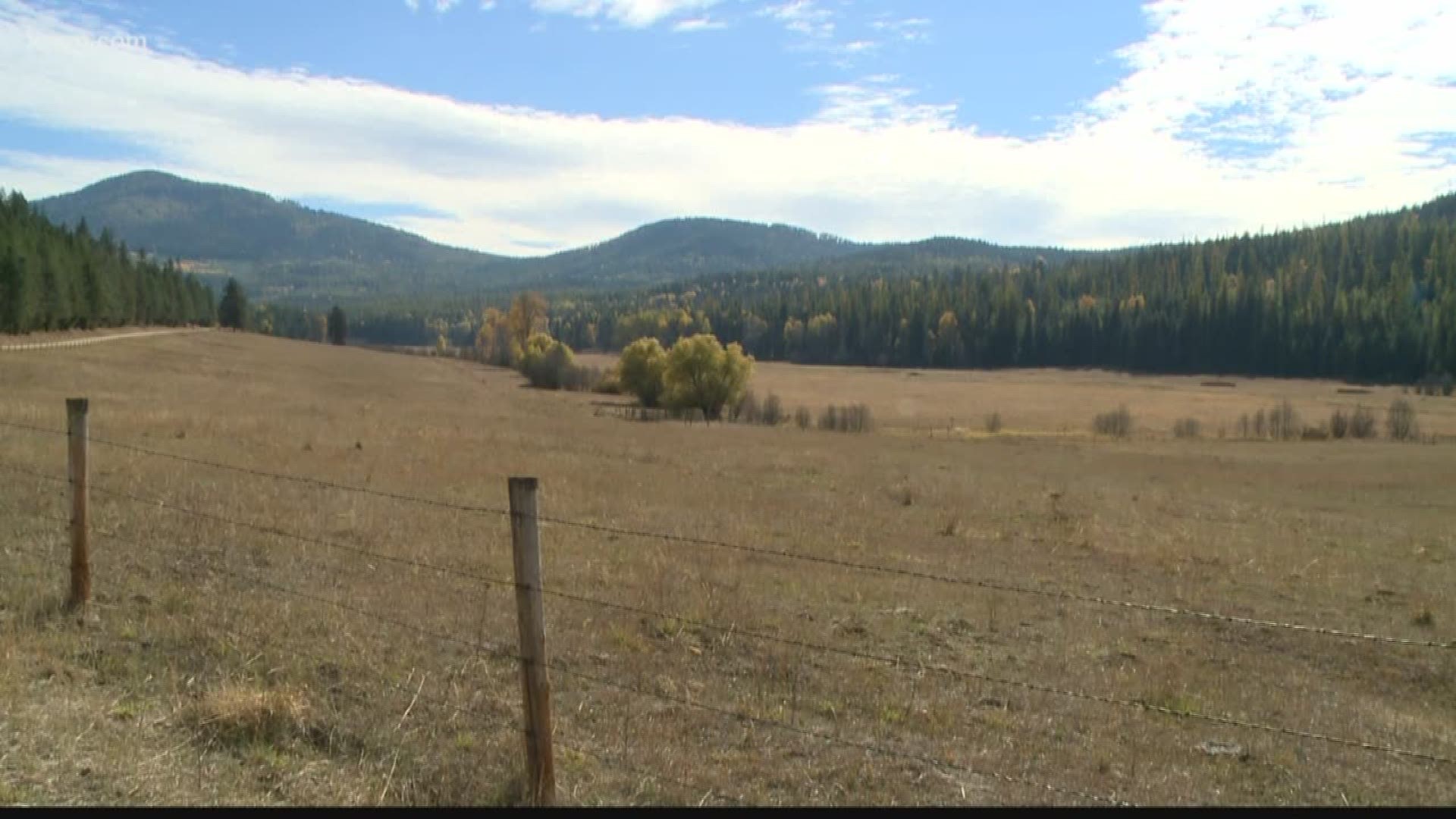 While it's clear that the current system isn't working for ranchers, the other side off the wolf issue is from environmentalists who say, it's not working for the wolves either.