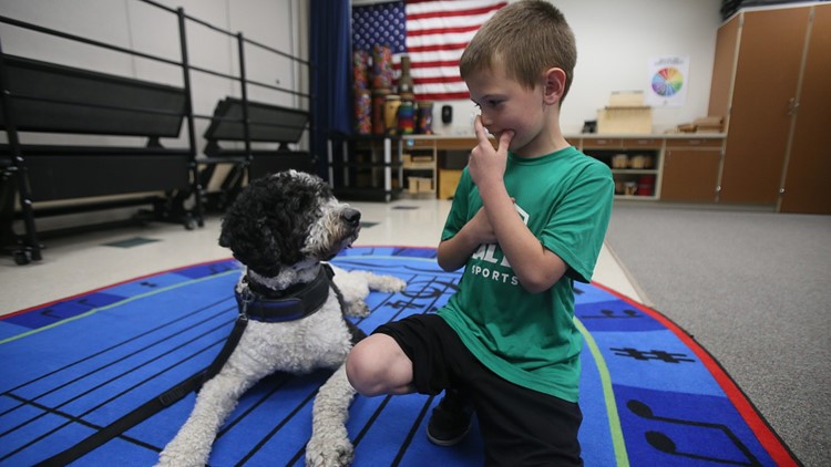 Dogs helping enhance mental health in the Coeur d'Alene School District