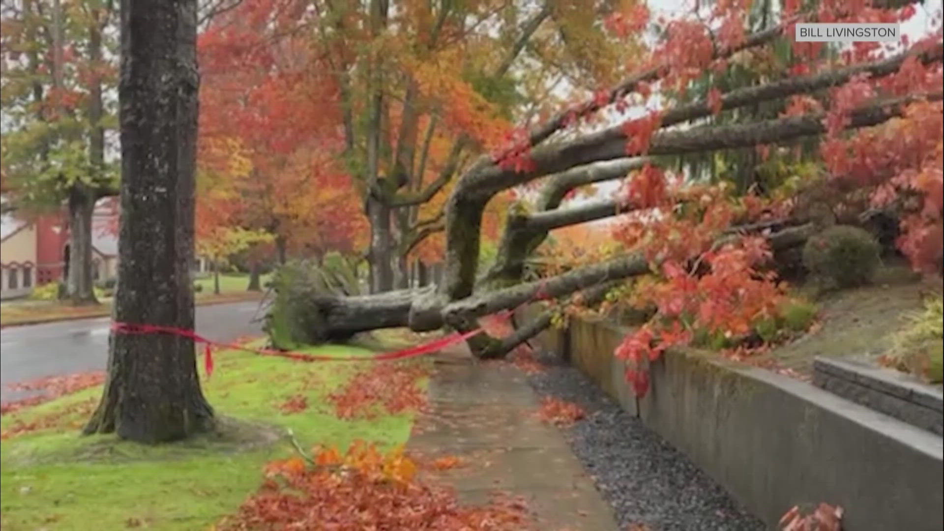 Cleanup underway following storms in Western Washington | krem.com
