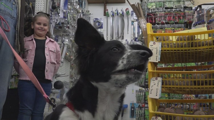 'By the Grace of God' | Dog rescued from mailbox finds new home at Nine-Mile hardware store