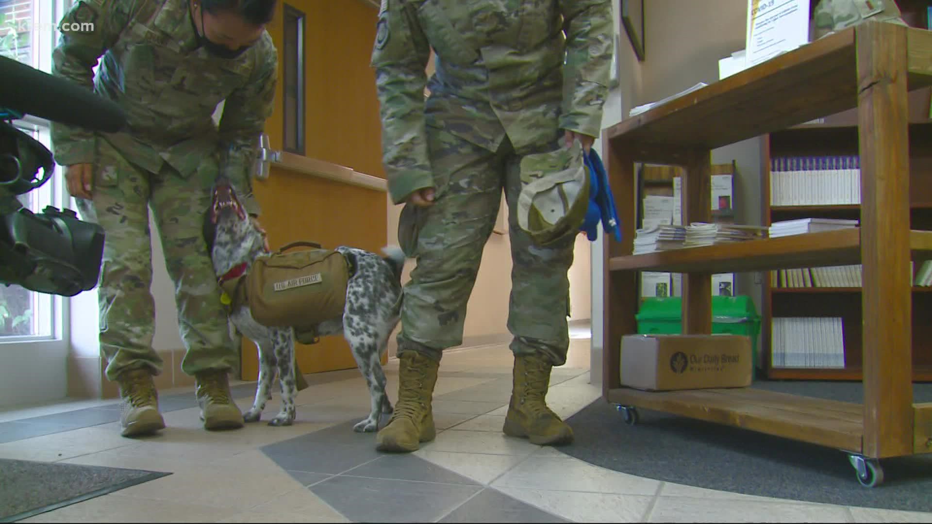 The dogs and their handlers work hard to practice protective skills for the Air Force base and the people who live there.