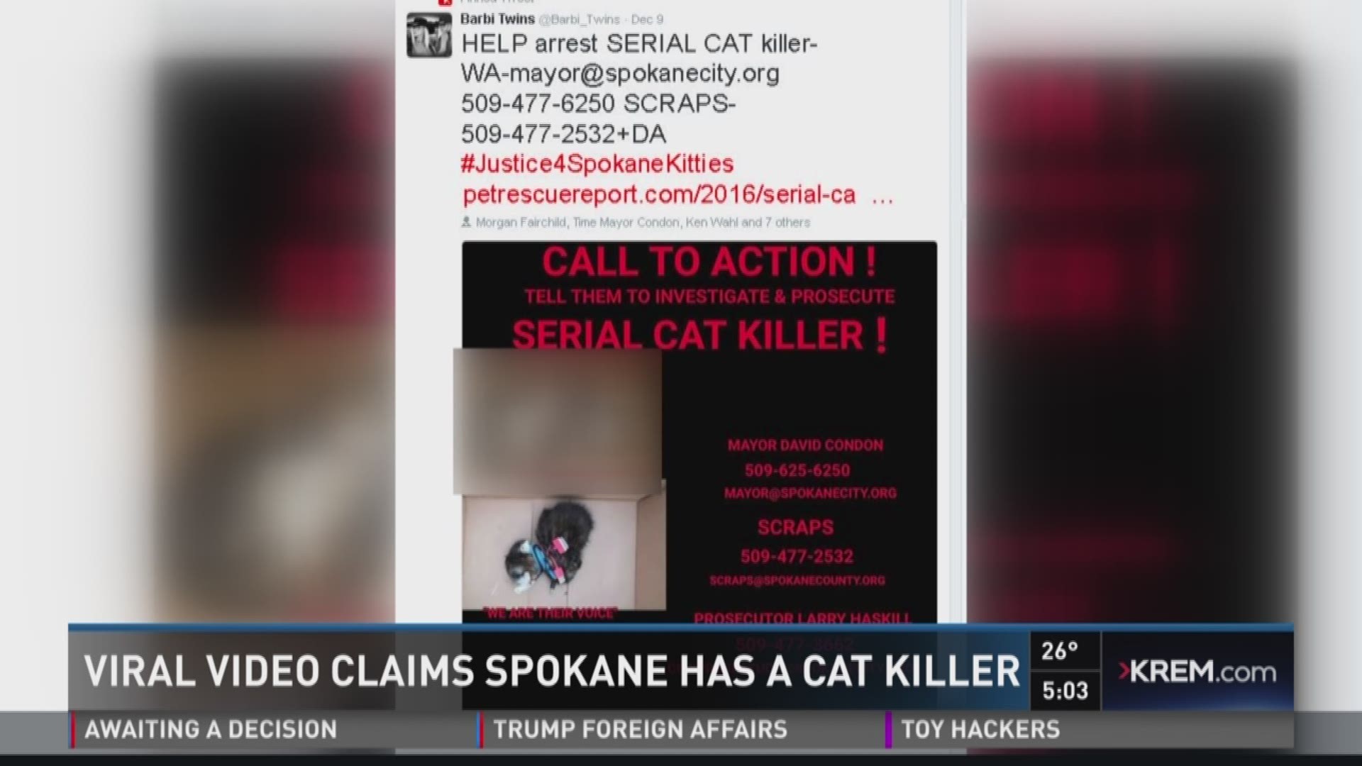 Viral video claims Spokane has a cat killer