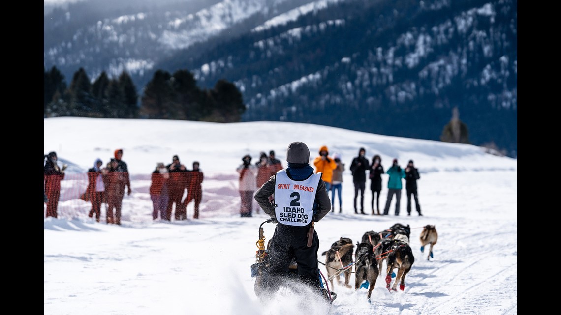 Idaho man places third in Iditarod qualifying race - Vimarsana News