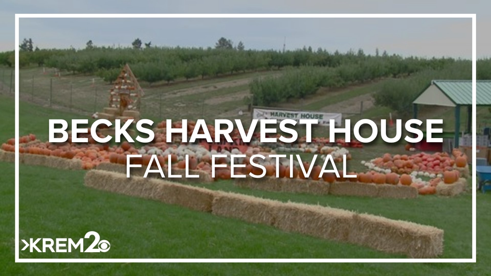 Families can head out to Green Bluff and wander through a corn maze, find the perfect pumpkin, eat some tasty pumpkin pie or enjoy food from food trucks.