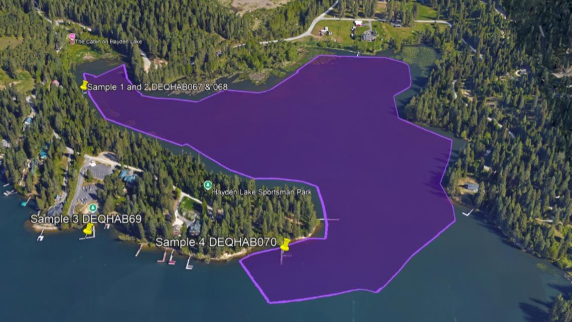 Health Advisory issued for upper end of Hayden Lake because of harmful algal bloom