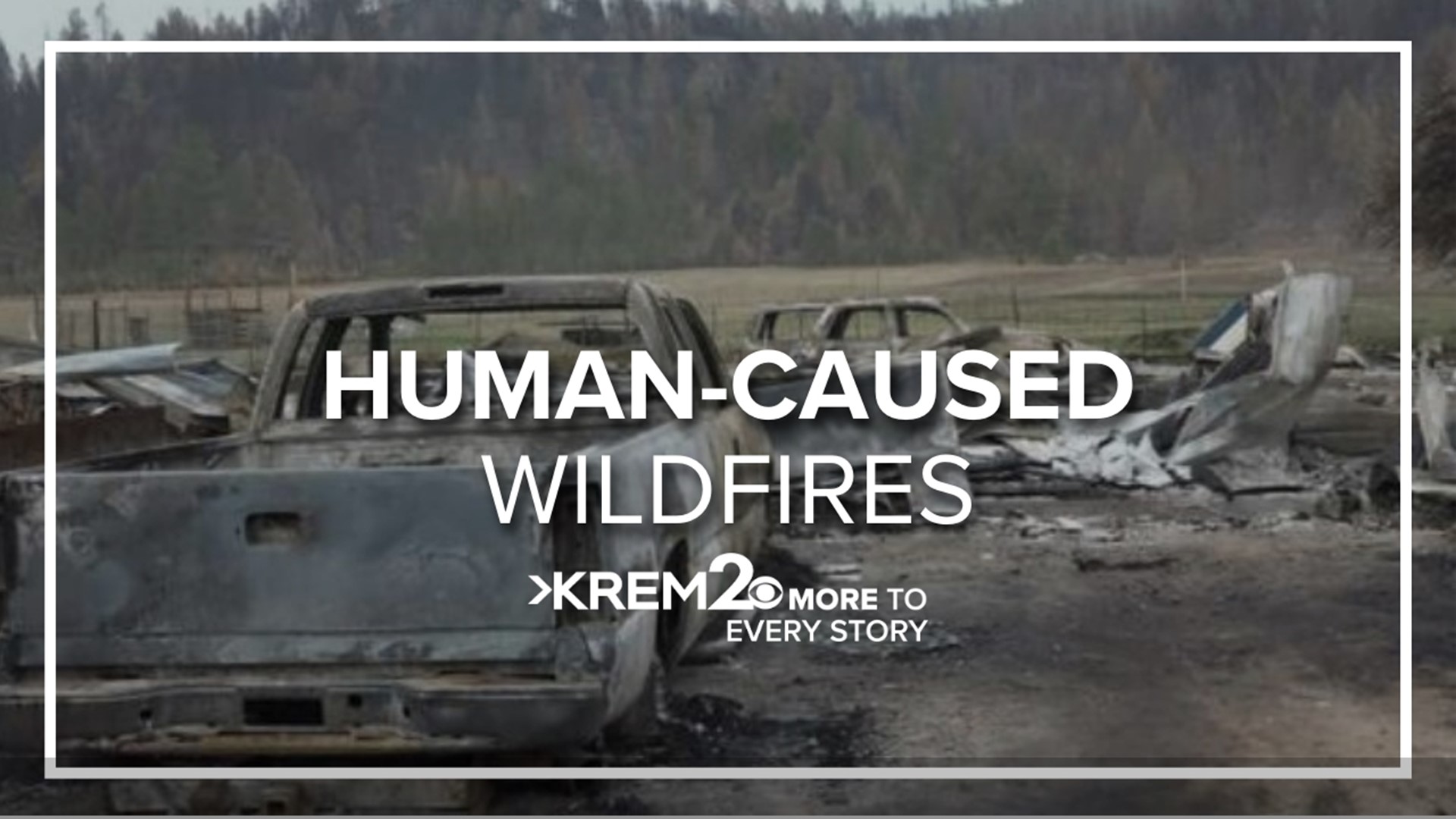 90% of fires in Washington were human-caused. Of the 90%, 50% are negligently or intentionally started.