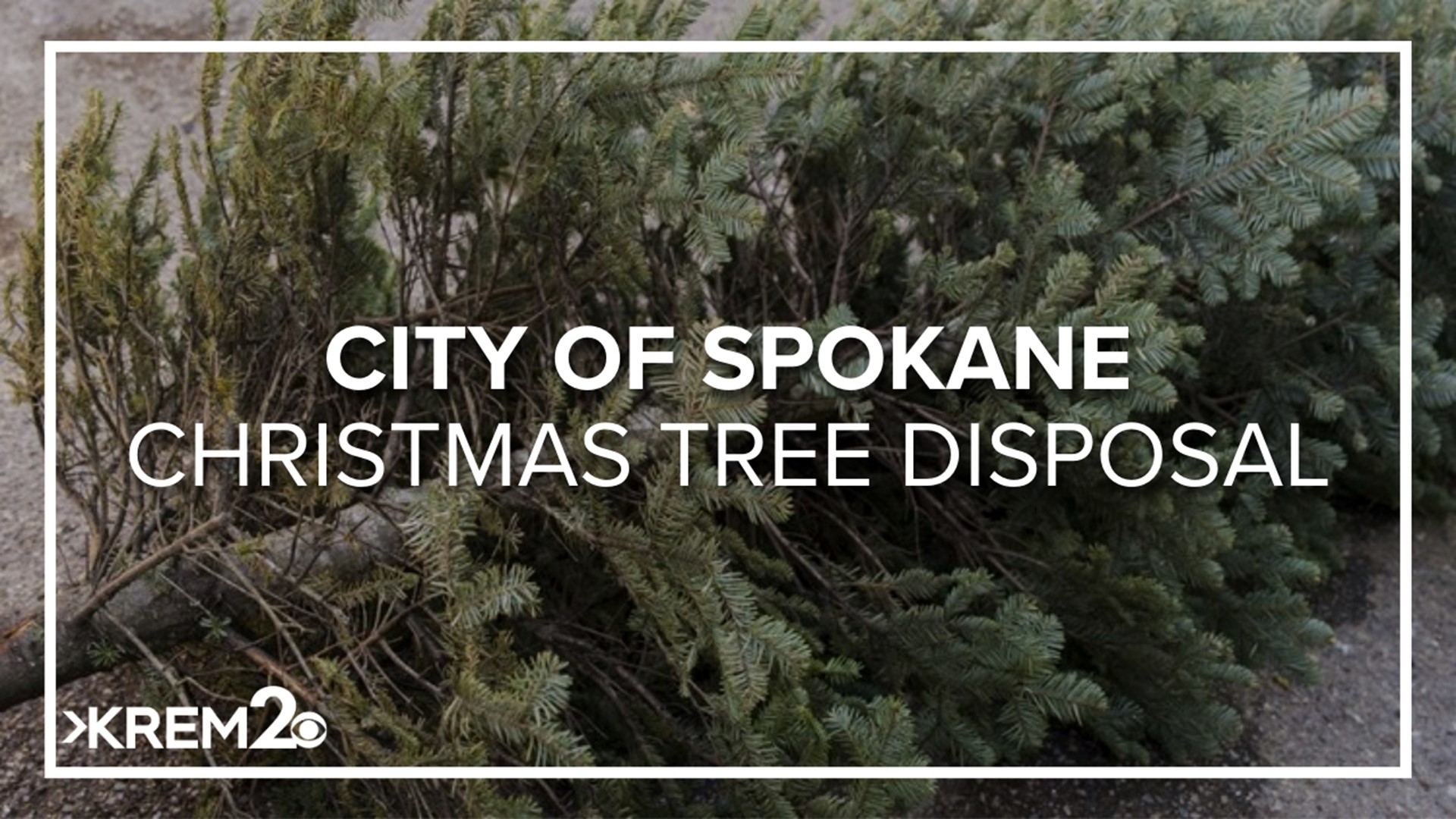 Free curbside Christmas tree disposal in Spokane