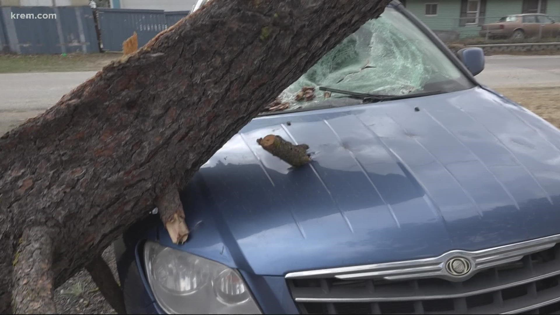 This is not the first time the Martin family has suffered damages in a windstorm, as last year's windstorm provided a much similar scene.